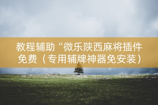 教程辅助“微乐陕西麻将插件免费（专用辅牌神器免安装）