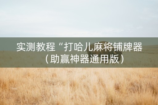 实测教程“打哈儿麻将铺牌器（助赢神器通用版）