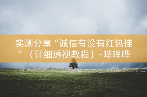 实测分享“诚信有没有红包挂”（详细透视教程）-哔哩哔哩