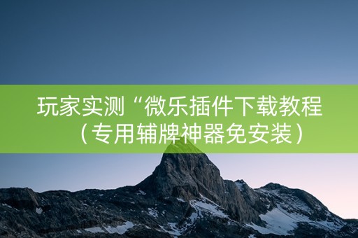 玩家实测“微乐插件下载教程（专用辅牌神器免安装）