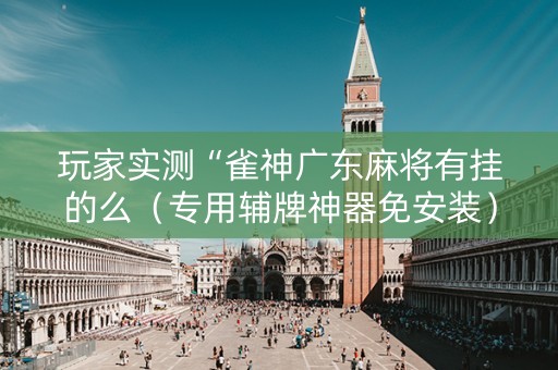 玩家实测“雀神广东麻将有挂的么（专用辅牌神器免安装）