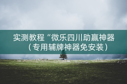 实测教程“微乐四川助赢神器（专用辅牌神器免安装）
