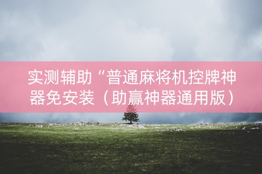 实测辅助“普通麻将机控牌神器免安装（助赢神器通用版）
