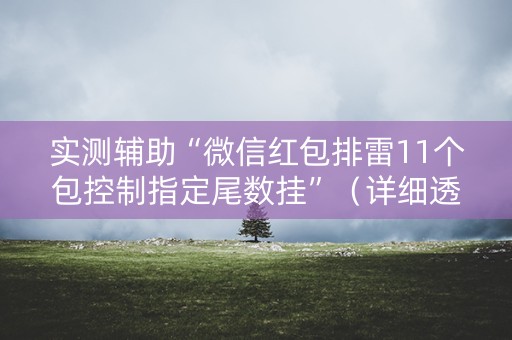 实测辅助“微信红包排雷11个包控制指定尾数挂”（详细透视教程）-哔哩哔哩