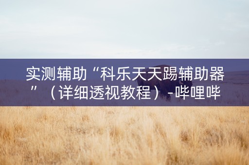 实测辅助“科乐天天踢辅助器”（详细透视教程）-哔哩哔哩