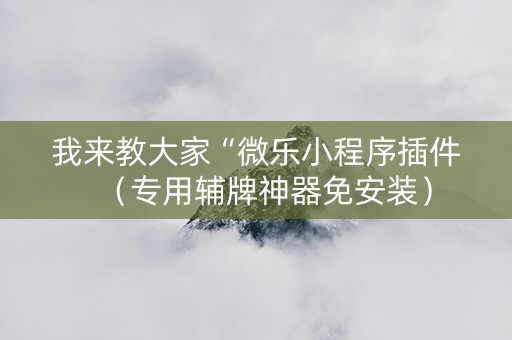 我来教大家“微乐小程序插件（专用辅牌神器免安装）