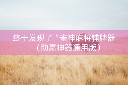 终于发现了“雀神麻将辅牌器（助赢神器通用版）