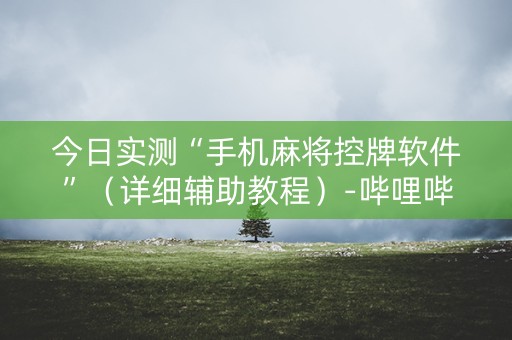 今日实测“手机麻将控牌软件”（详细辅助教程）-哔哩哔哩
