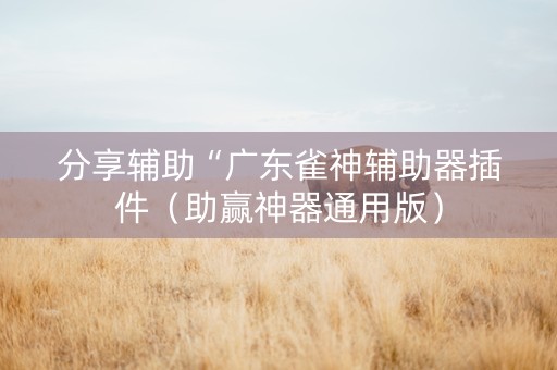 分享辅助“广东雀神辅助器插件（助赢神器通用版）