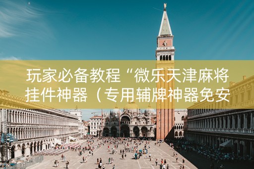 玩家必备教程“微乐天津麻将挂件神器（专用辅牌神器免安装）