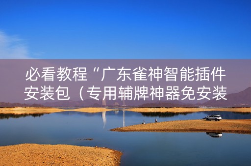 必看教程“广东雀神智能插件安装包（专用辅牌神器免安装）