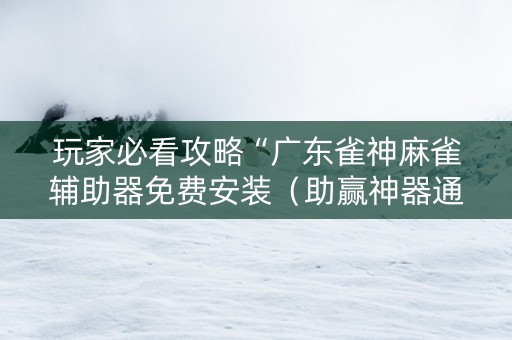 玩家必看攻略“广东雀神麻雀辅助器免费安装（助赢神器通用版）