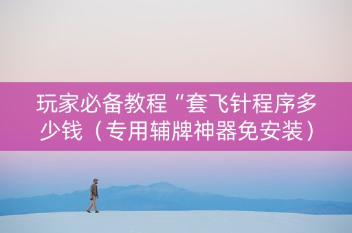 玩家必备教程“套飞针程序多少钱（专用辅牌神器免安装）