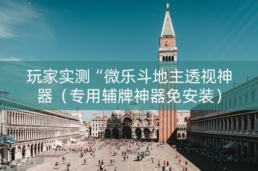 玩家实测“微乐斗地主透视神器（专用辅牌神器免安装）