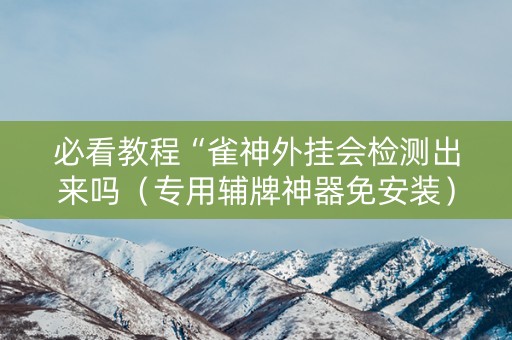 必看教程“雀神外挂会检测出来吗（专用辅牌神器免安装）