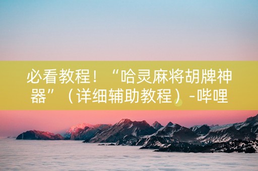必看教程！“哈灵麻将胡牌神器”（详细辅助教程）-哔哩哔哩