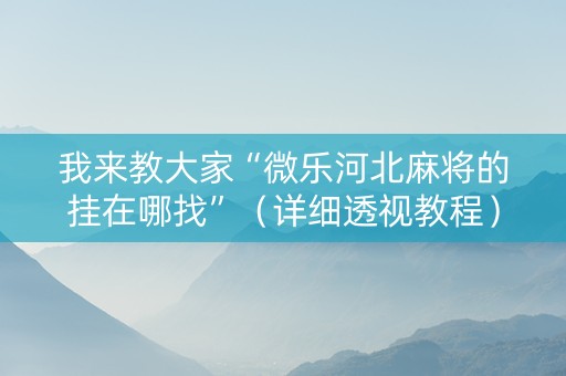 我来教大家“微乐河北麻将的挂在哪找”（详细透视教程）-哔哩哔哩
