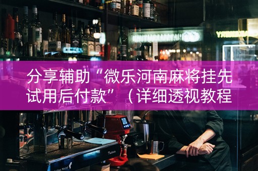 分享辅助“微乐河南麻将挂先试用后付款”（详细透视教程）-哔哩哔哩