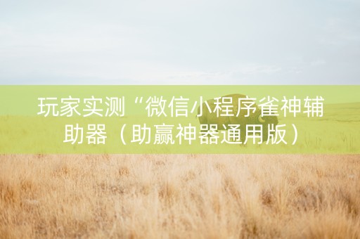玩家实测“微信小程序雀神辅助器（助赢神器通用版）