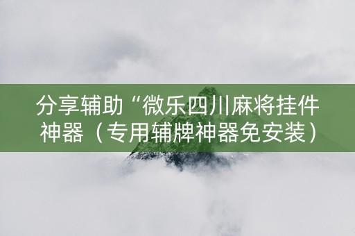 分享辅助“微乐四川麻将挂件神器（专用辅牌神器免安装）