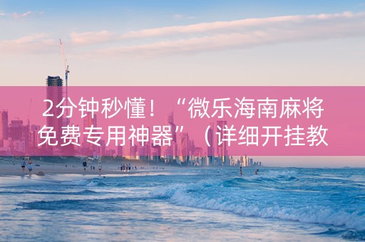 2分钟秒懂！“微乐海南麻将免费专用神器”（详细开挂教程）-哔哩哔哩