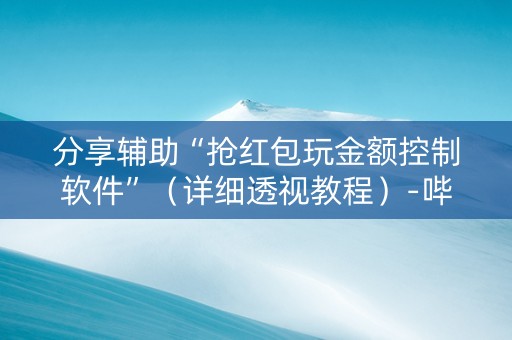 分享辅助“抢红包玩金额控制软件”（详细透视教程）-哔哩哔哩