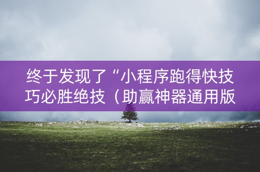 终于发现了“小程序跑得快技巧必胜绝技（助赢神器通用版）