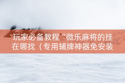 玩家必备教程“微乐麻将的挂在哪找（专用辅牌神器免安装）