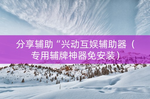 分享辅助“兴动互娱辅助器（专用辅牌神器免安装）