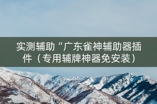 实测辅助“广东雀神辅助器插件（专用辅牌神器免安装）