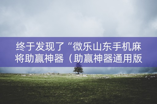 终于发现了“微乐山东手机麻将助赢神器（助赢神器通用版）