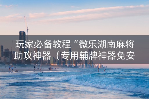 玩家必备教程“微乐湖南麻将助攻神器（专用辅牌神器免安装）