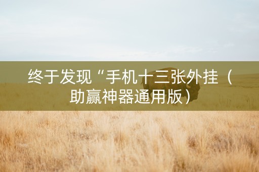 终于发现“手机十三张外挂（助赢神器通用版）