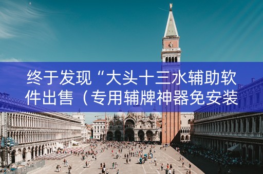 终于发现“大头十三水辅助软件出售（专用辅牌神器免安装）