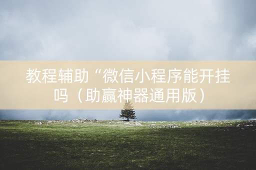 教程辅助“微信小程序能开挂吗（助赢神器通用版）