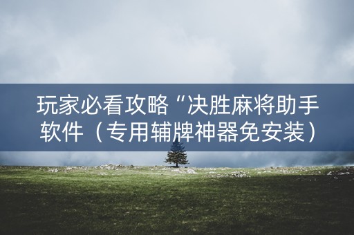 玩家必看攻略“决胜麻将助手软件（专用辅牌神器免安装）