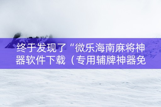 终于发现了“微乐海南麻将神器软件下载（专用辅牌神器免安装）