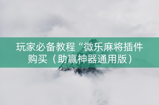 玩家必备教程“微乐麻将插件购买（助赢神器通用版）