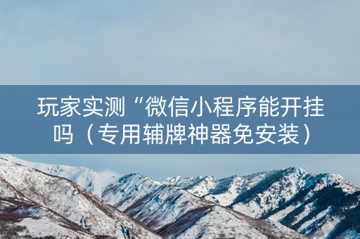 玩家实测“微信小程序能开挂吗（专用辅牌神器免安装）