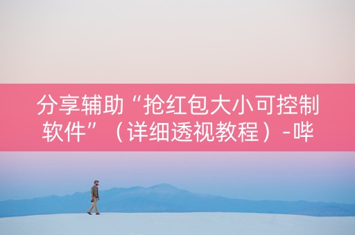 分享辅助“抢红包大小可控制软件”（详细透视教程）-哔哩哔哩