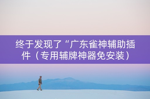 终于发现了“广东雀神辅助插件（专用辅牌神器免安装）