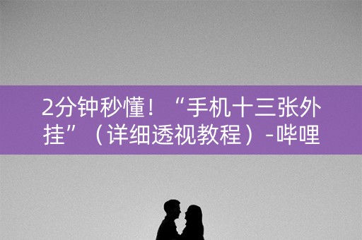 2分钟秒懂！“手机十三张外挂”（详细透视教程）-哔哩哔哩