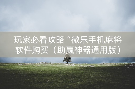 玩家必看攻略“微乐手机麻将软件购买（助赢神器通用版）