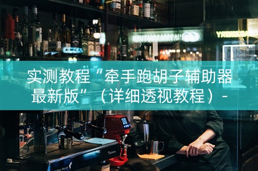 实测教程“牵手跑胡子辅助器最新版”（详细透视教程）-哔哩哔哩
