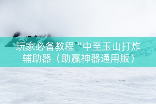 玩家必备教程“中至玉山打炸辅助器（助赢神器通用版）