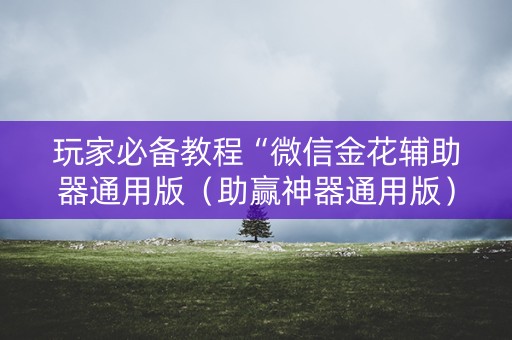 玩家必备教程“微信金花辅助器通用版（助赢神器通用版）