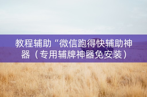 教程辅助“微信跑得快辅助神器（专用辅牌神器免安装）
