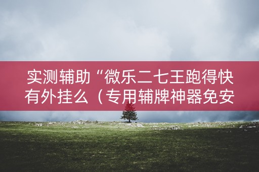 实测辅助“微乐二七王跑得快有外挂么（专用辅牌神器免安装）