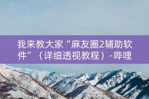 我来教大家“麻友圈2辅助软件”（详细透视教程）-哔哩哔哩