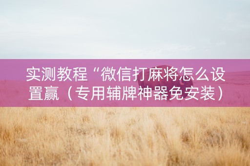 实测教程“微信打麻将怎么设置赢（专用辅牌神器免安装）